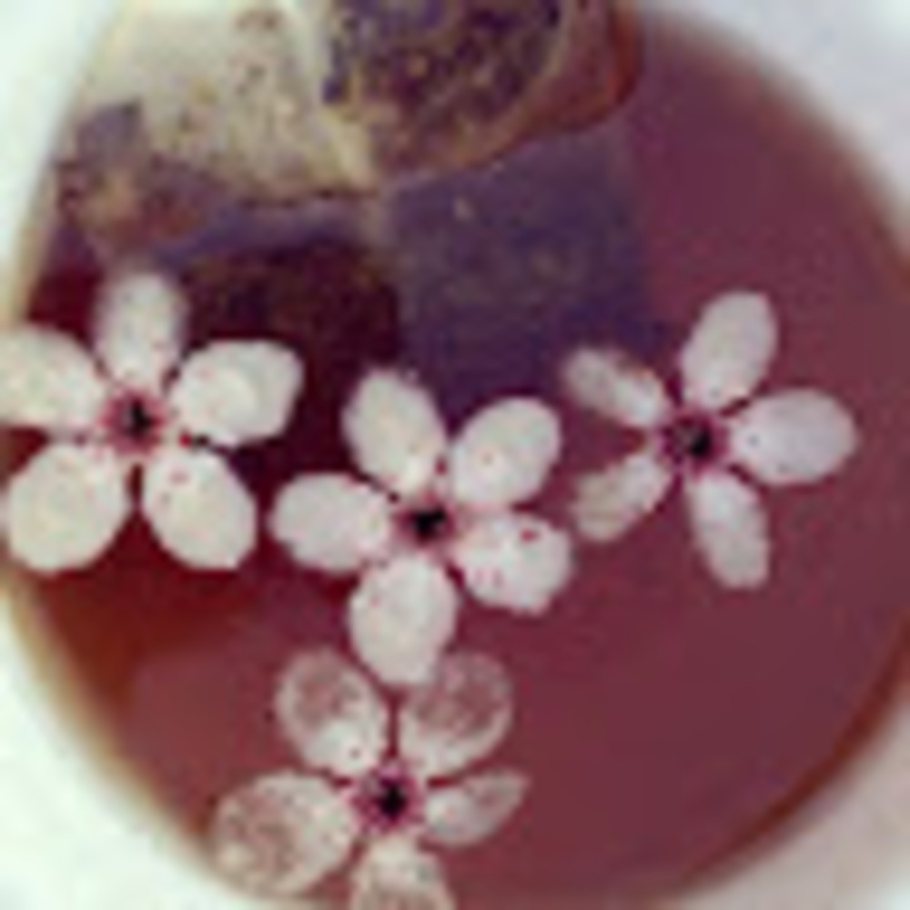 Meet your Posher, Fern